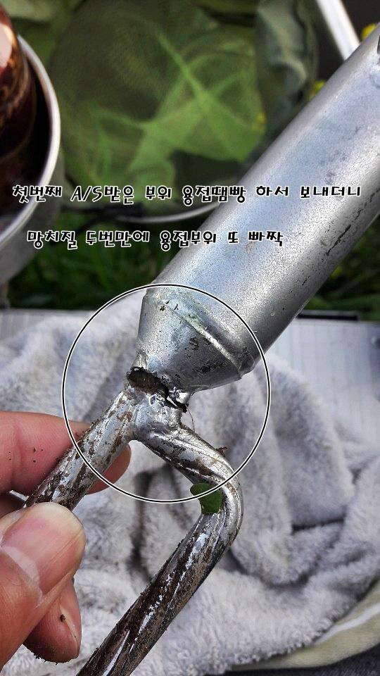 청레져 지금 나랑 싸우자는 건가 (커뮤니티 - 자유게시판)