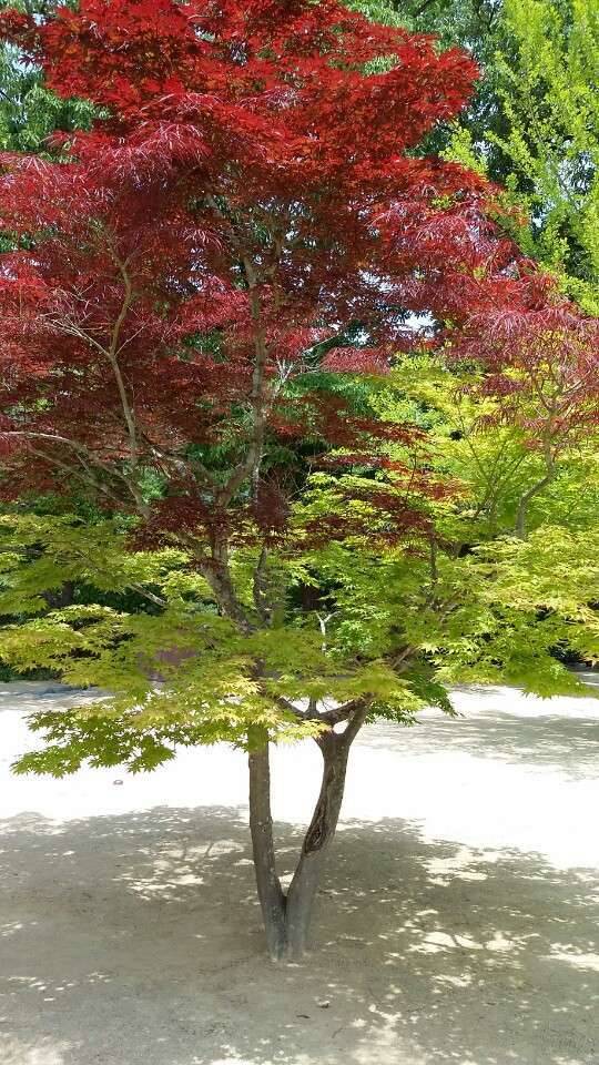 임대사업도 여러가지가 있군요ㅎ (커뮤니티 - 자유게시판)