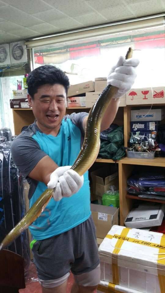 충주댐 장어낚시 댕겨왔어요 (커뮤니티 - 자유게시판)