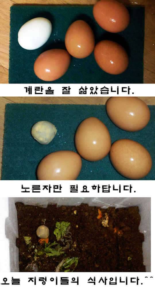 지렁아같이 먹고 살자 (커뮤니티 - 자유게시판)