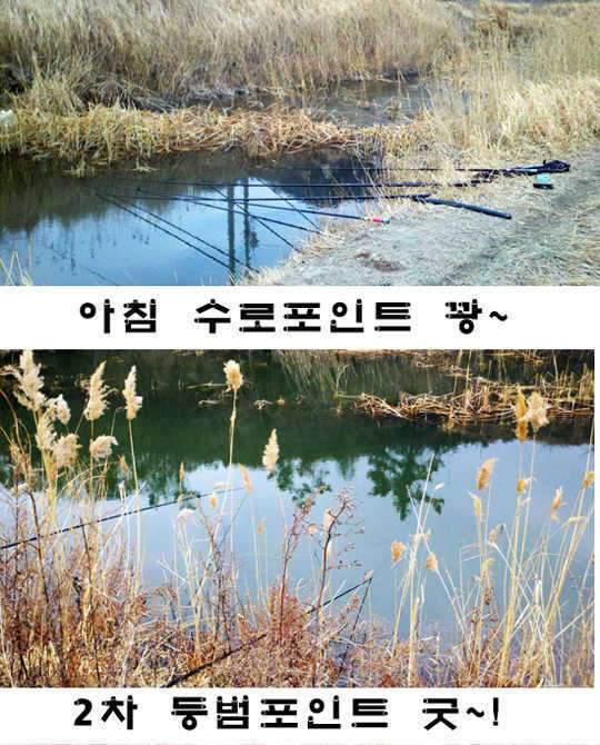 바 보 붕 어 (커뮤니티 - 자유게시판)