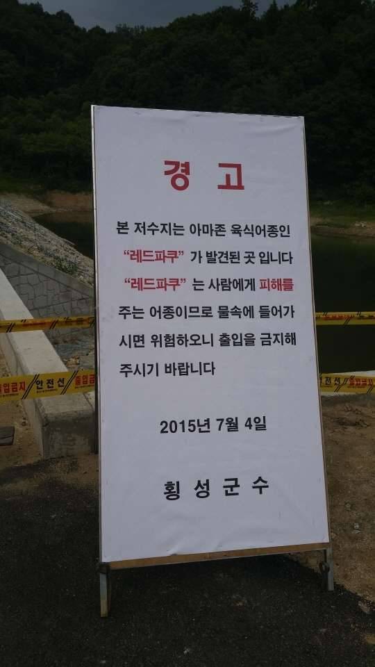 마옥저수지 다녀왔습니다 (커뮤니티 - 자유게시판)