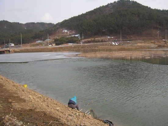 어제214 궁산지 표정 (커뮤니티 - 자유게시판)
