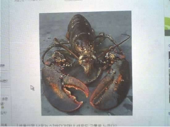 5치부대 여러분 다시한번 심사숙고 하셔유 (커뮤니티 - 자유게시판)