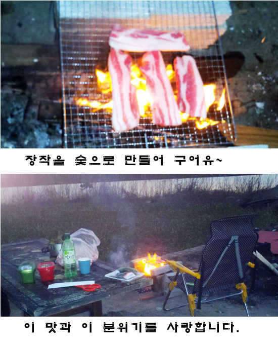 바 보 붕 어 (커뮤니티 - 자유게시판)