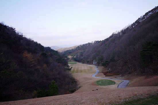 머리 올리러 가는 날 (커뮤니티 - 자유게시판)