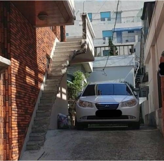 심심한 오후 보세요 (커뮤니티 - 자유게시판)