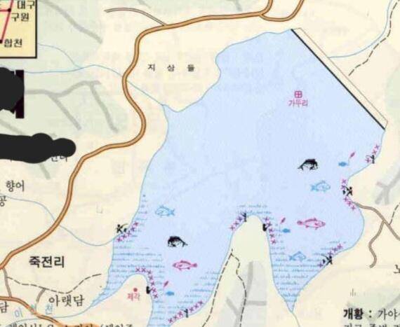 향어가살고잇는저수지 (커뮤니티 - 자유게시판)