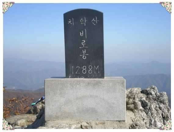 붕어 잡으러 치악산으로 (커뮤니티 - 자유게시판)