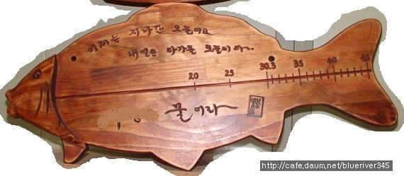 디자인 변경계측용으로 (커뮤니티 - 자유게시판)