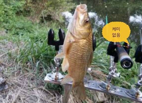 대단하신 아니면 무던하신 그것도 아니면 (커뮤니티 - 자유게시판)