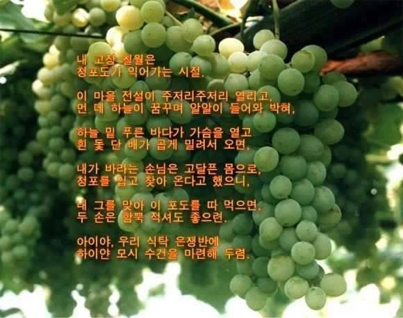 7月엔 (커뮤니티 - 자유게시판)