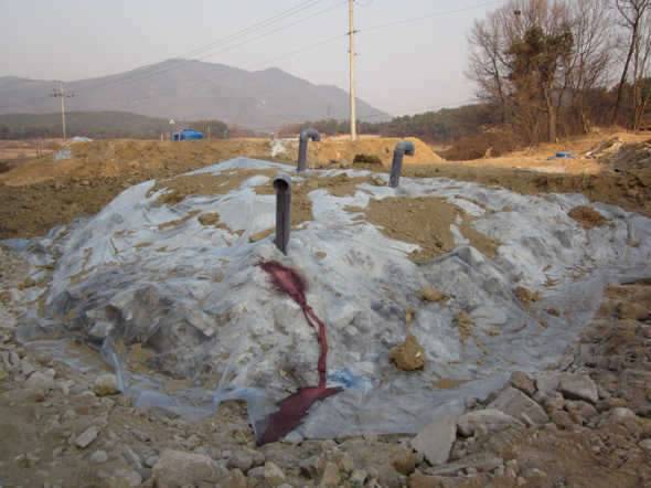 구제역과 대재앙 (커뮤니티 - 자유게시판)