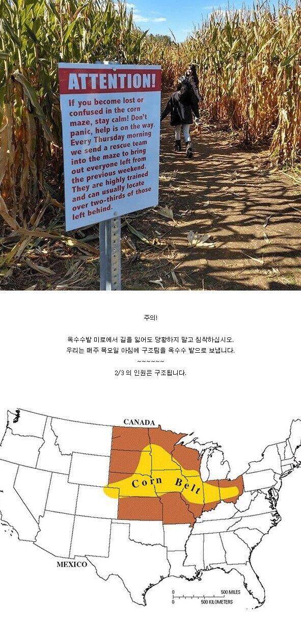 광대한 미국 옥수수밭에서 길을 잃고 실종되면 시체도 못찾는다는 공포글 보다가 생각난건데 (커뮤니티 - 자유게시판)