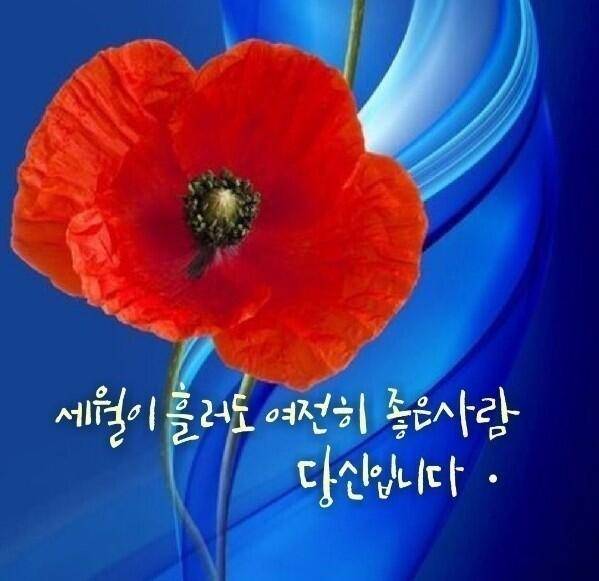 출석부 (커뮤니티 - 자유게시판)