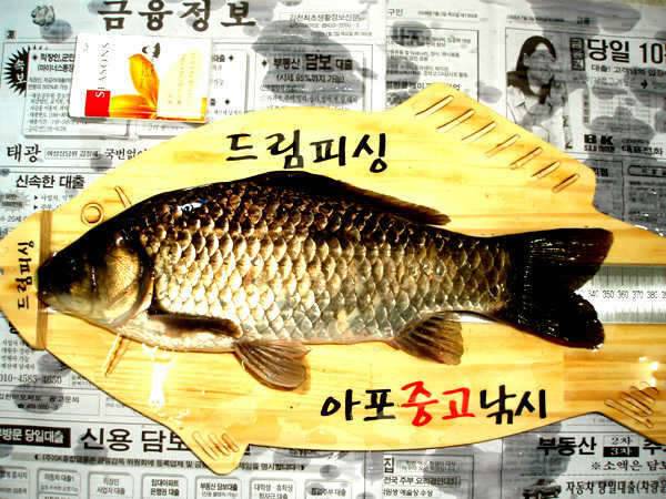 월척신고합니다 ▶사진첨부◀ (커뮤니티 - 자유게시판)