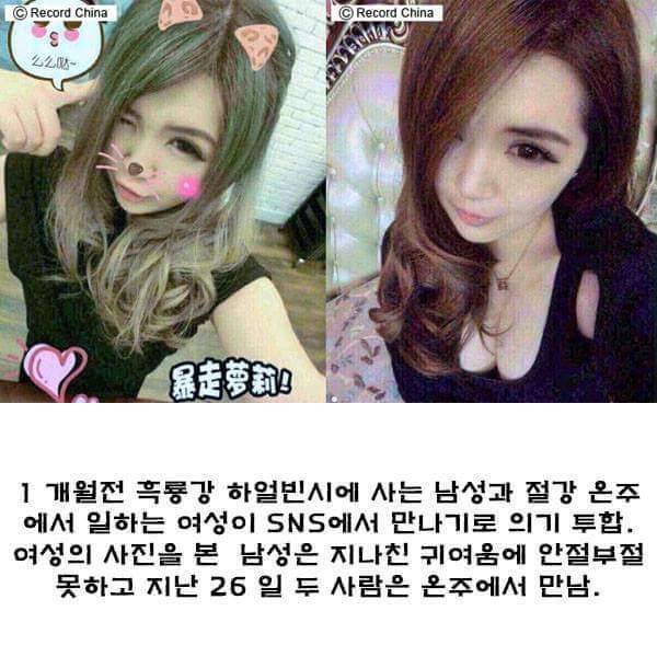 대륙 (커뮤니티 - 자유게시판)