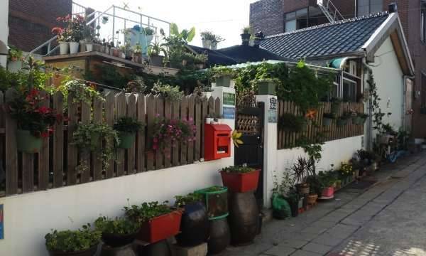 달성공원 둘레길 비산동 골목정원 바람부는날 들렀다 가세요 (커뮤니티 - 자유게시판)