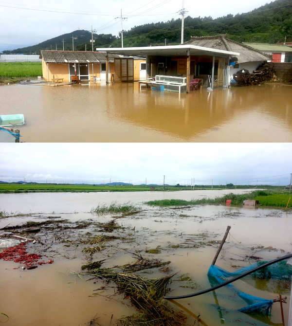 정가일지 얼렁 돈보내줘유ㅠ (커뮤니티 - 자유게시판)
