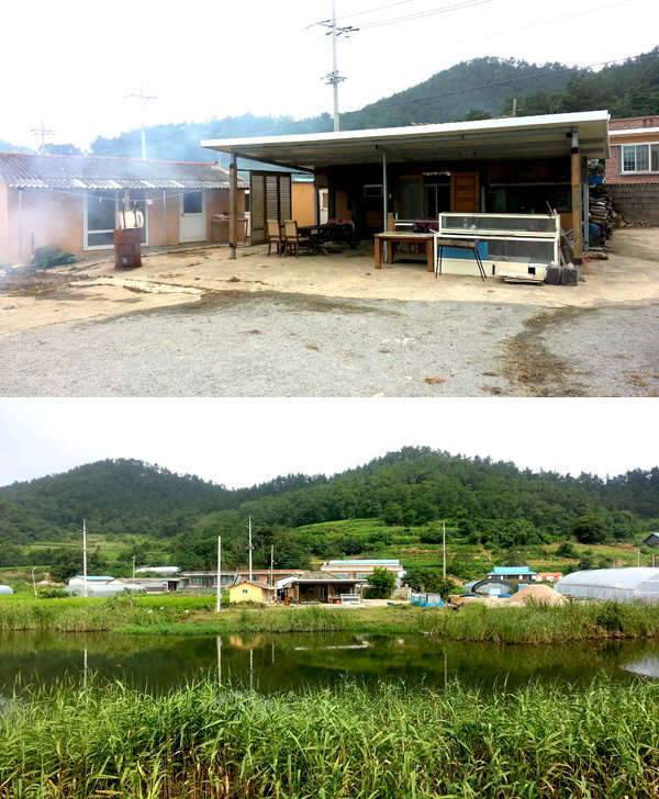 정가일지 얼렁 돈보내줘유ㅠ (커뮤니티 - 자유게시판)