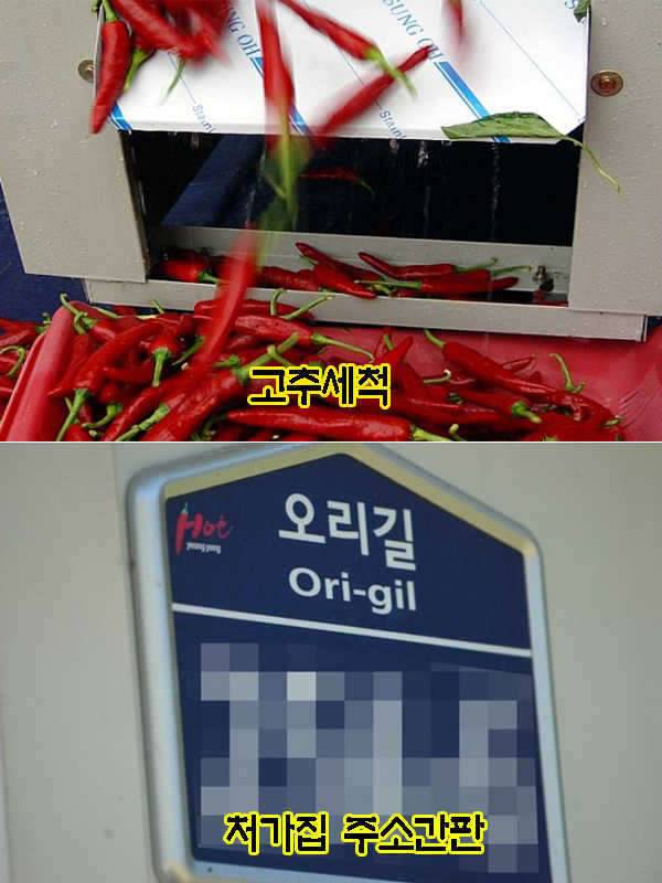최상품 영양고추 팜니다14일 배송완료 (커뮤니티 - 자유게시판)