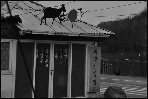 옛 것들과 MINI 오너 (커뮤니티 - 자유게시판)