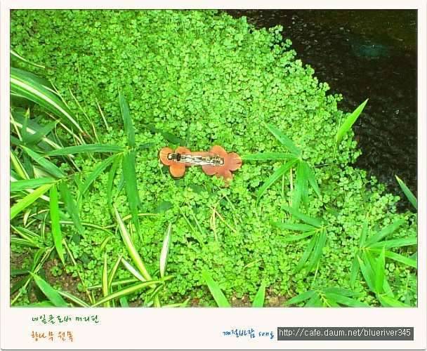 正品 (커뮤니티 - 자유게시판)
