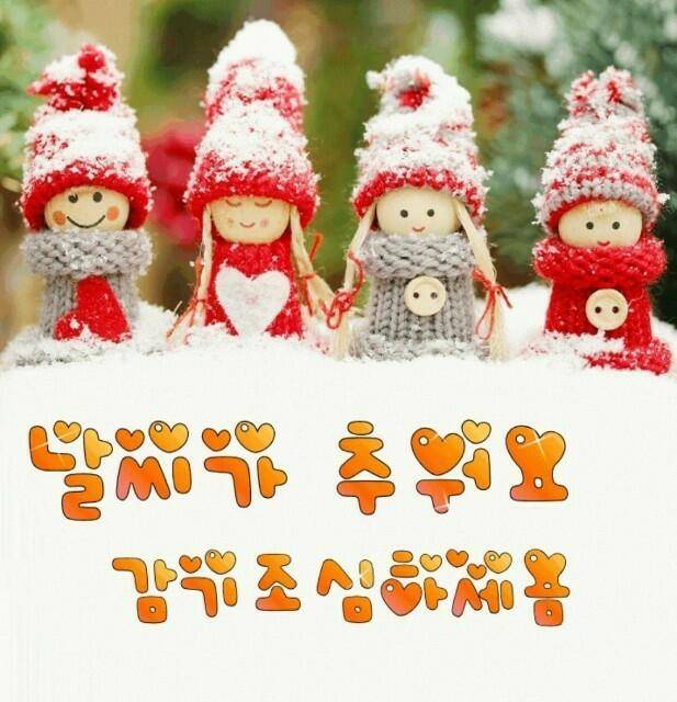 짤 모음 (커뮤니티 - 자유게시판)