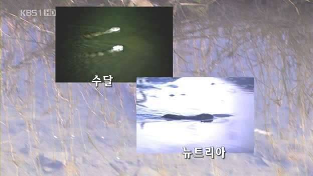 뉴트리아이넘이맞습니다 (커뮤니티 - 자유게시판)