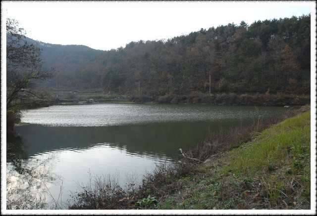 저수지 낚시 마감할까요 (커뮤니티 - 자유게시판)