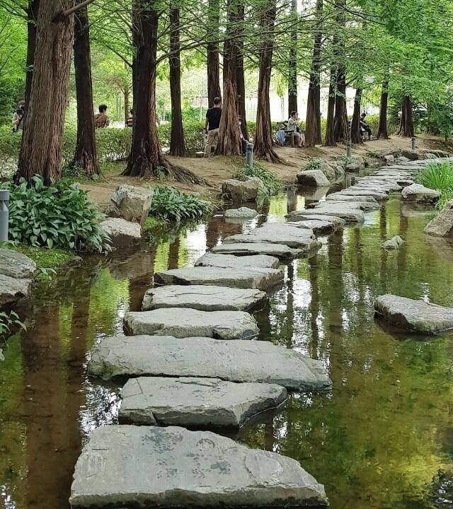 스처지나 가는 것들 (커뮤니티 - 자유게시판)