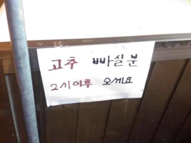 고추 빱니다 (커뮤니티 - 자유게시판)