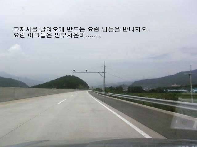 고지서는 몇장이나 받으셨나요 (커뮤니티 - 자유게시판)