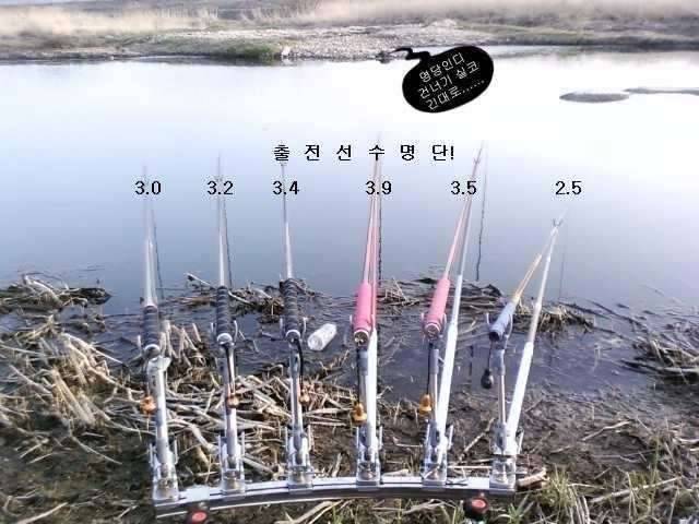 붕어는 어데가고 (커뮤니티 - 자유게시판)
