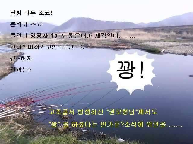 붕어는 어데가고 (커뮤니티 - 자유게시판)