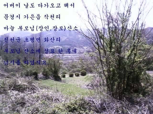 개업인사드려유 계측자틀채들이대기 전문 ㅋㅋㅋ (커뮤니티 - 자유게시판)