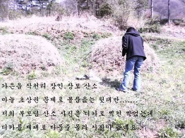 개업인사드려유 계측자틀채들이대기 전문 ㅋㅋㅋ (커뮤니티 - 자유게시판)