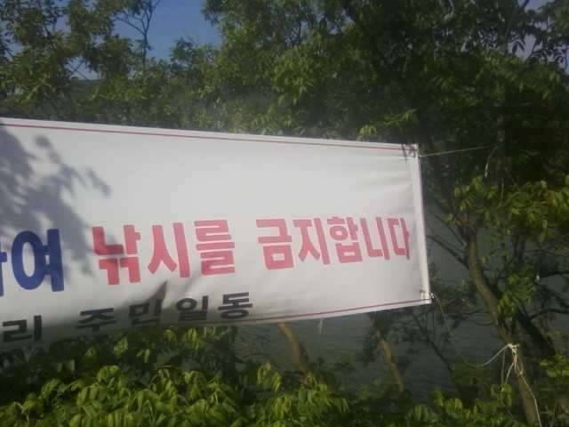 어떻게 피해가십니까 (커뮤니티 - 자유게시판)