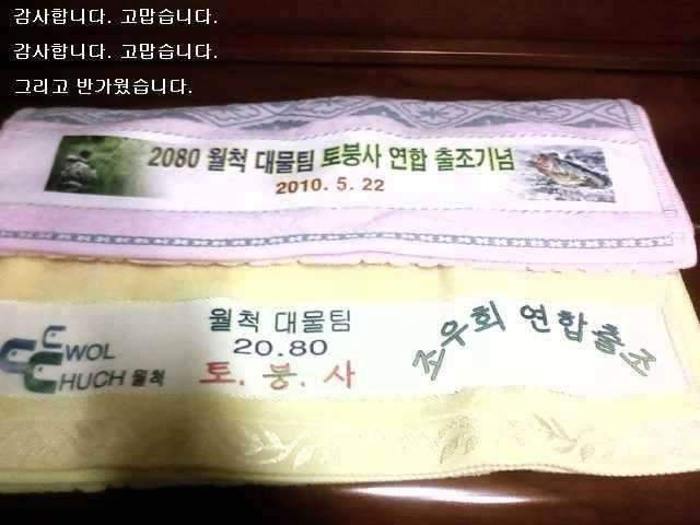의성엔 붕어가 없었다부제 감사하고 고마웠습니다 (커뮤니티 - 자유게시판)