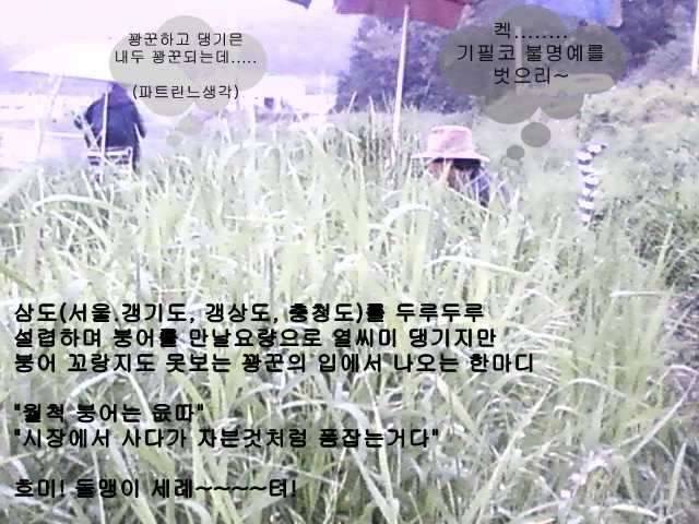 삼도꽝꾼절제사에 임명하노라 (커뮤니티 - 자유게시판)