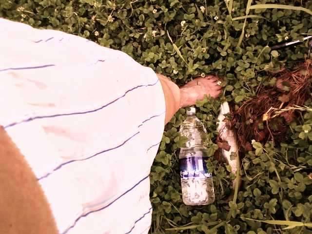 낚수대 절도범 검거 (커뮤니티 - 자유게시판)