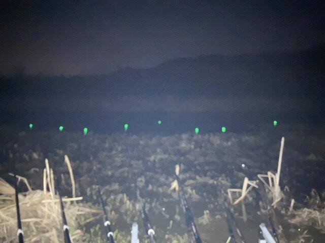 2박3일… (커뮤니티 - 자유게시판)