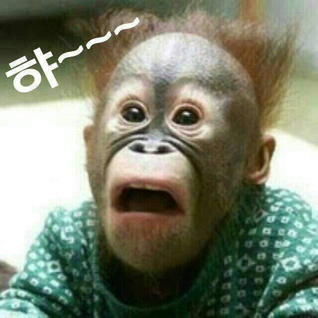 글루텐 (커뮤니티 - 자유게시판)