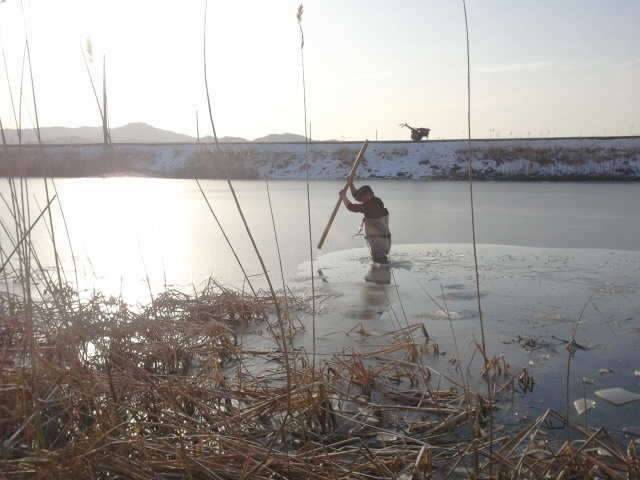 남도정가에서ᆢ (커뮤니티 - 자유게시판)