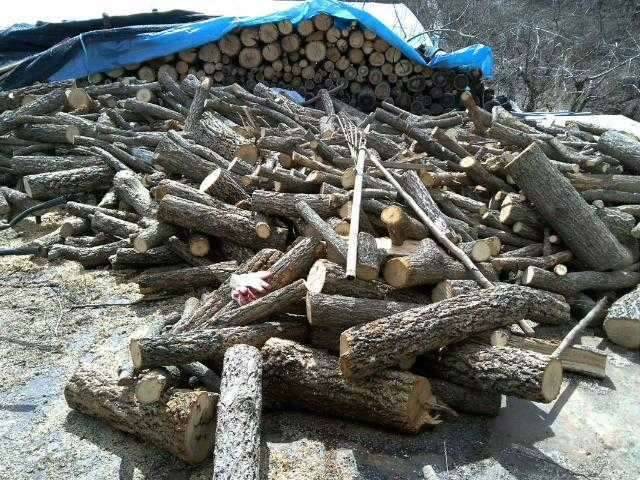 즐거운주말 보내고 계신가요 (커뮤니티 - 자유게시판)