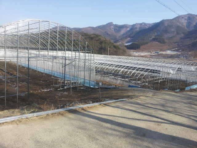 약속 ᆢ (커뮤니티 - 자유게시판)