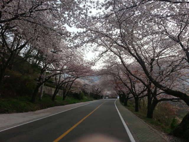 피러 (커뮤니티 - 자유게시판)