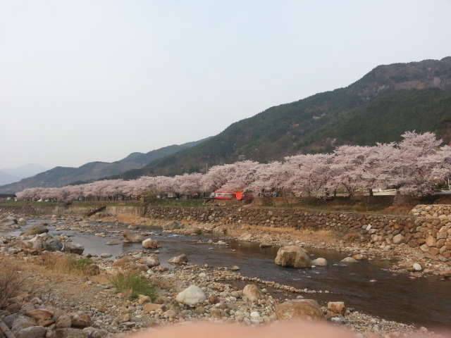 피러 (커뮤니티 - 자유게시판)