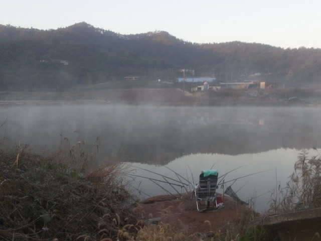 참 요상한 일도 다 있습니다 (커뮤니티 - 자유게시판)