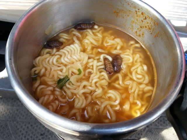 특제라면 (커뮤니티 - 자유게시판)